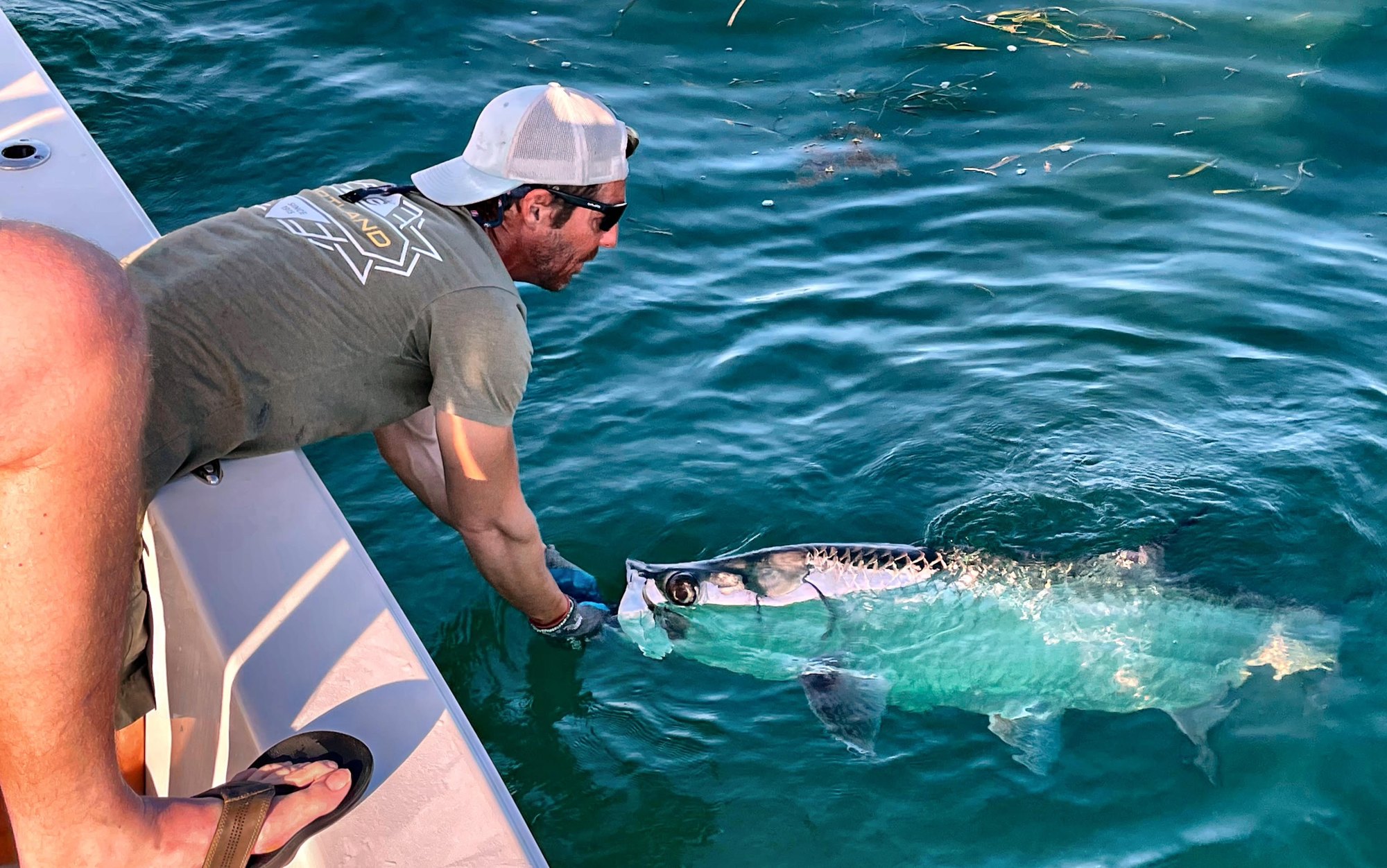 Angler leaning over the gunwale to release a tarpon in Key West