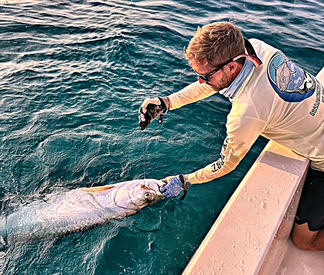 Captain leadering a tarpon boatside on an evening Key West charter