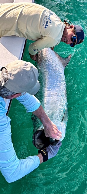 Overhead view of two anglers reviving a big tarpon boatside