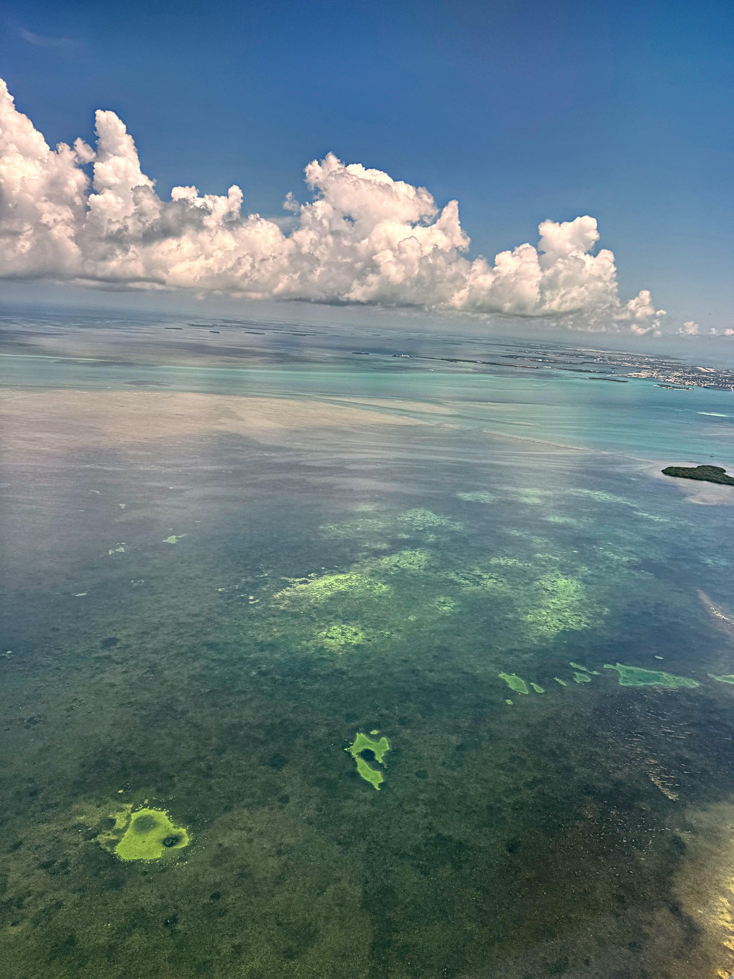 Shallow turquoise water over a Key West sandbar on a flats fishing charter